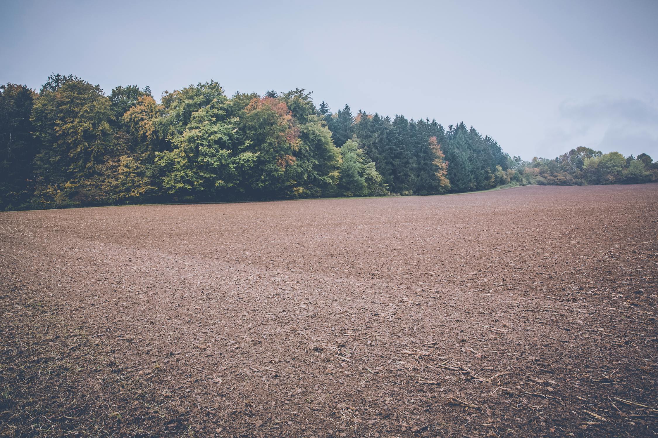 Read more about the article Why Property Maintenance Is More Important Than You Think